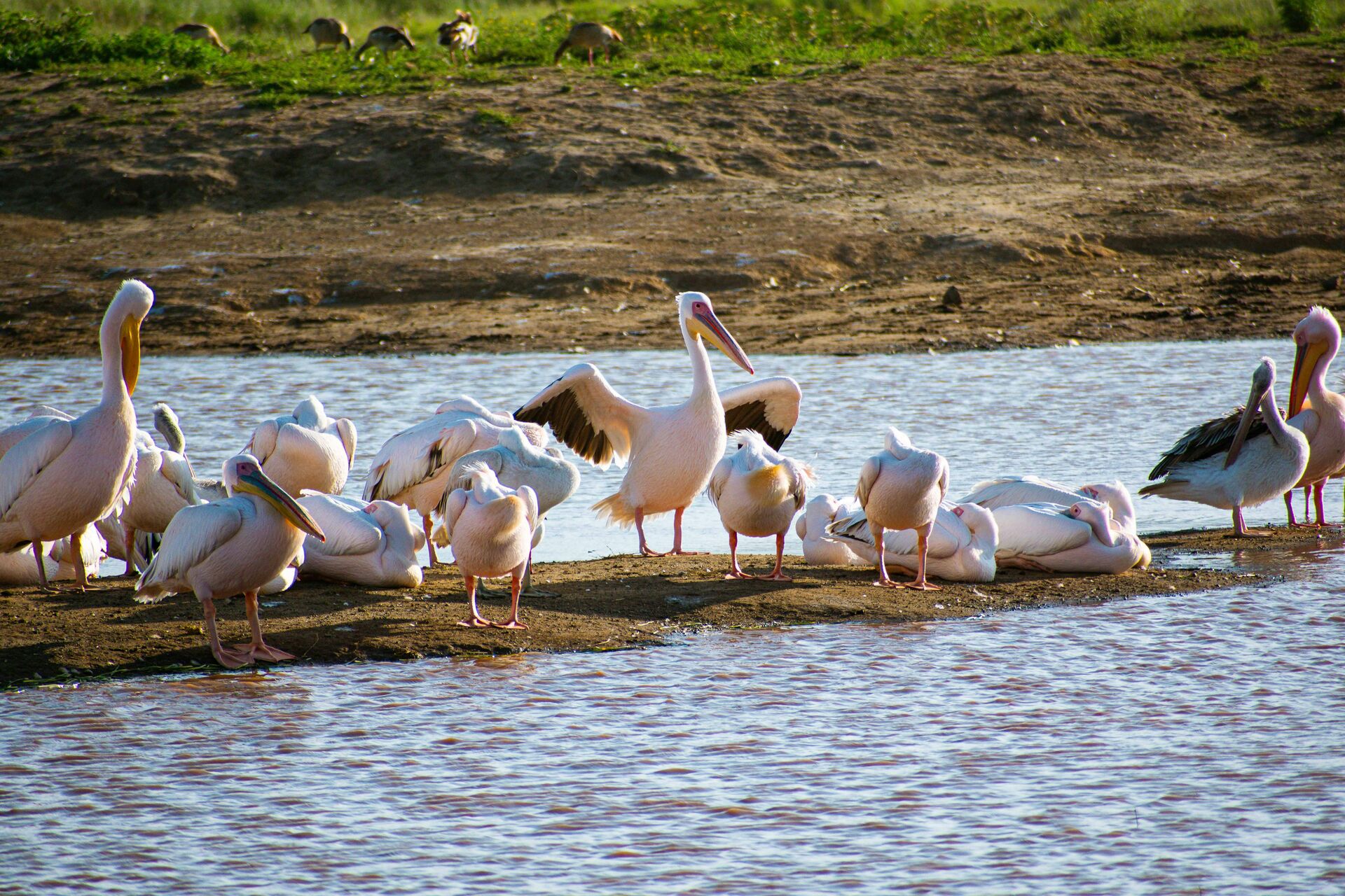 4-Days Mara Nakuru