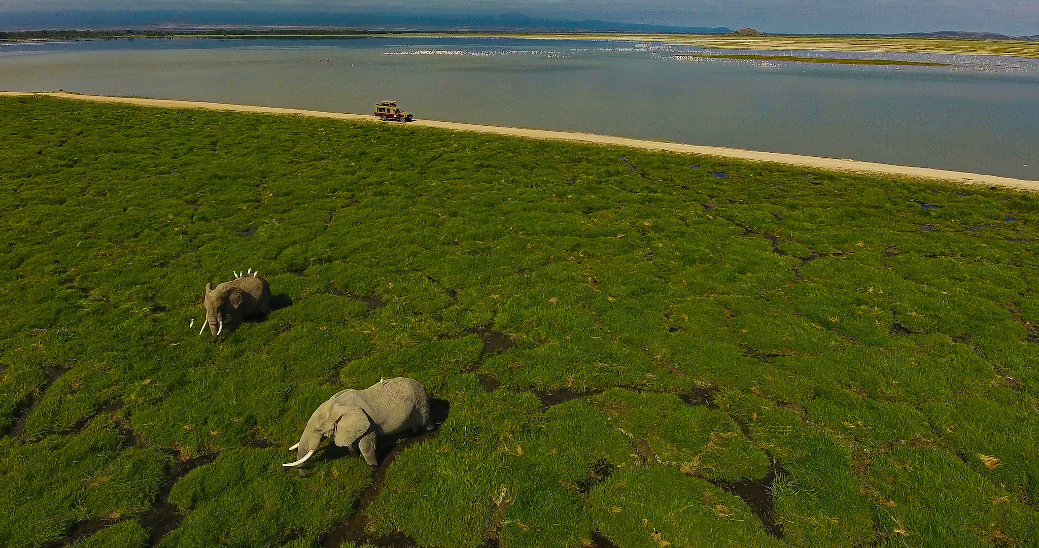 5-Days Amboseli Tsavo Safari